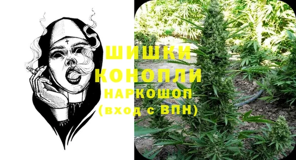 стаф Нея