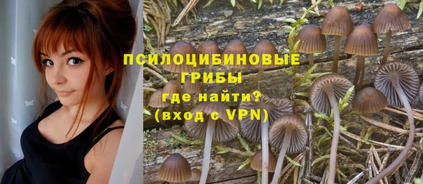 сатива Козловка