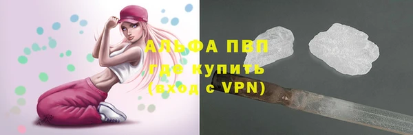 сатива Козловка