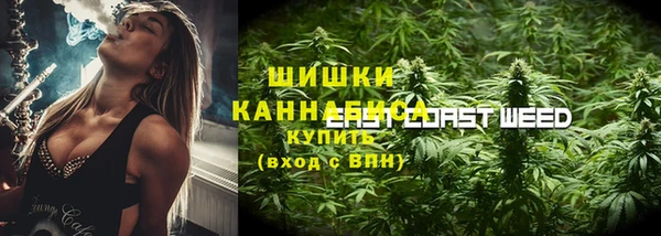 сатива Козловка