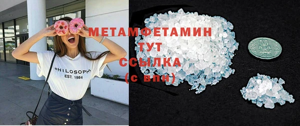 сатива Козловка