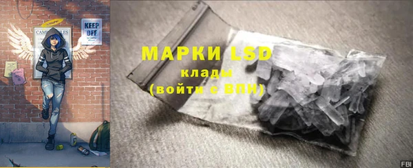 сатива Козловка